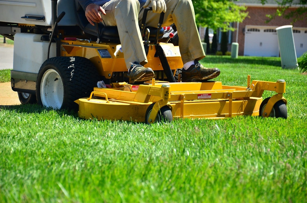 Lawn Mowing and Maintenance  Services